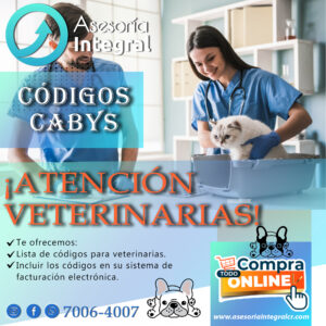 Codigos CABYS para veterinarias